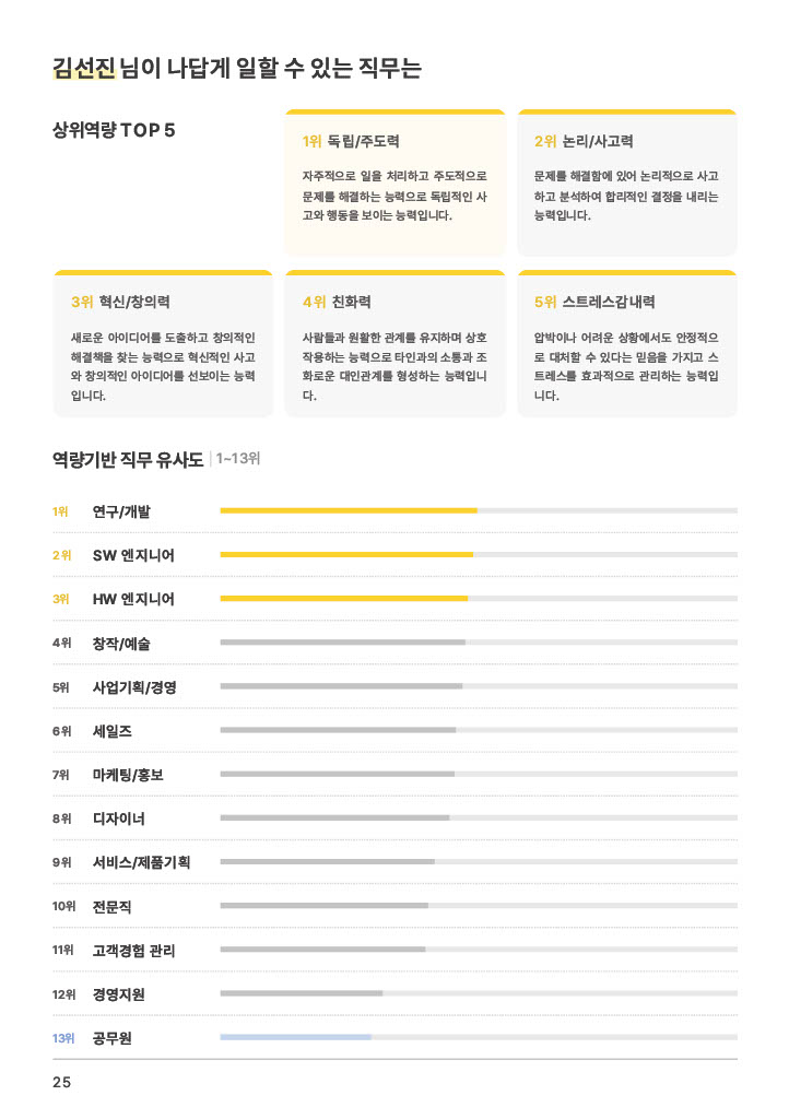 진단 리포트 10페이지