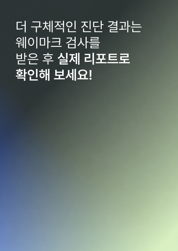 진단 리포트 12페이지