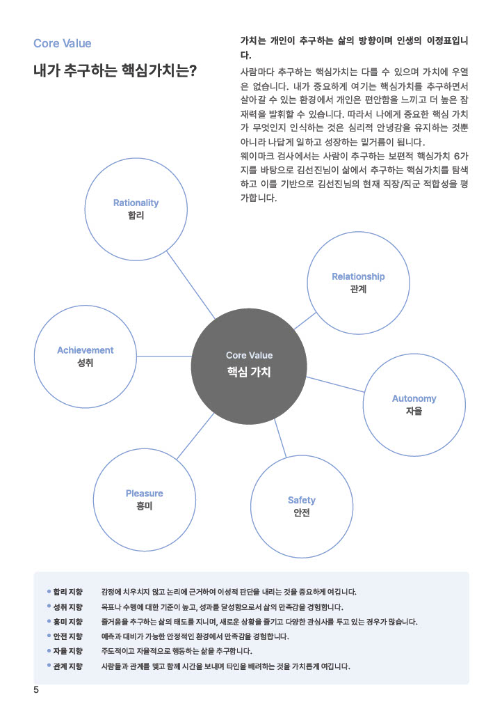 진단 리포트 3페이지
