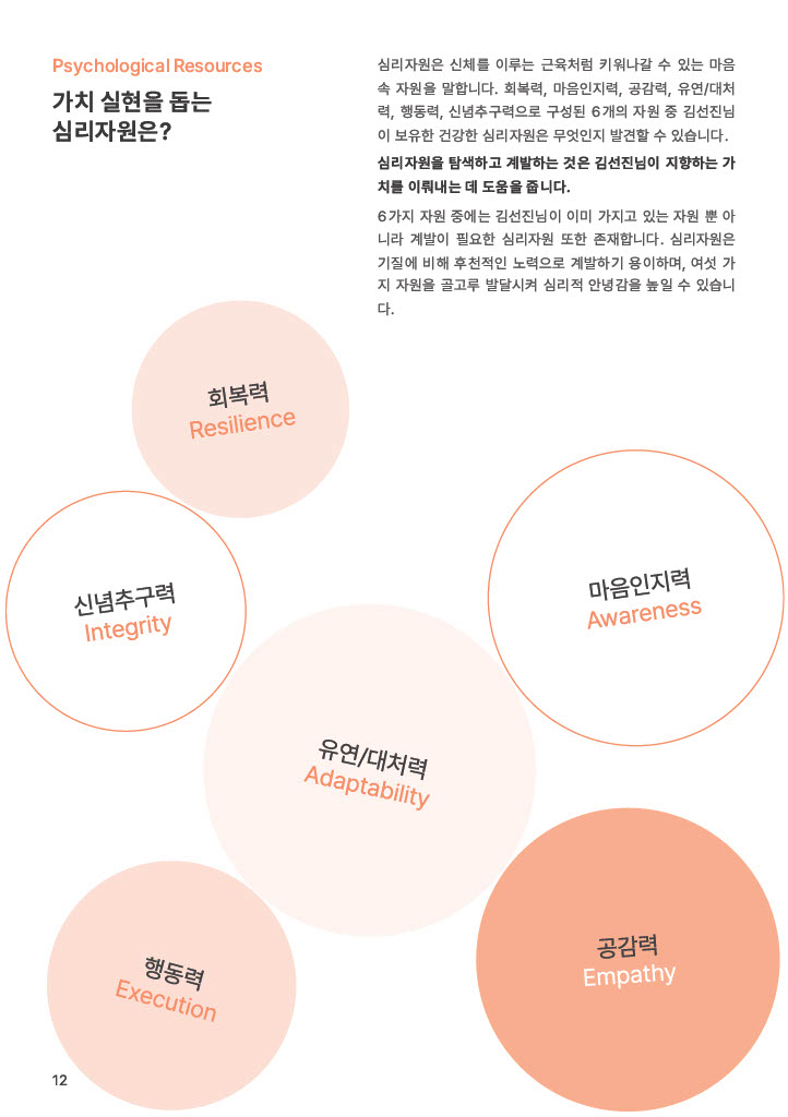 진단 리포트 5페이지