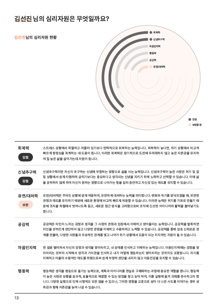 진단 리포트 6페이지